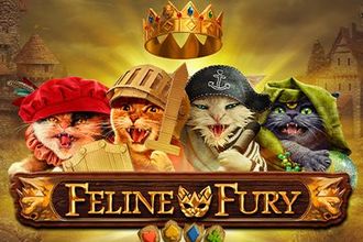 Feline Fury